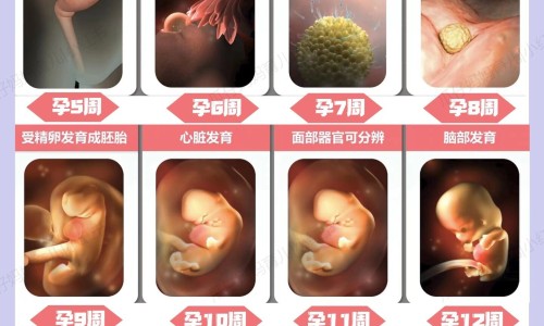 北京降压0号价格网 :分享北京降压0号图片-北京降压0号图片知识