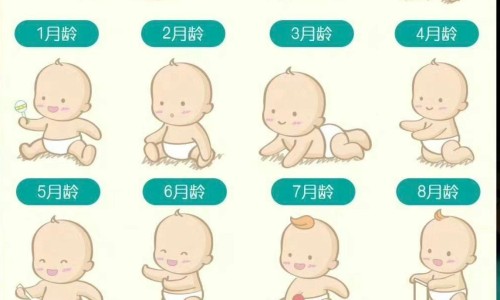 北京降压0号商品名-北京降压0号价格网 :分享北京降压0号图片-北京降压0号图片知识